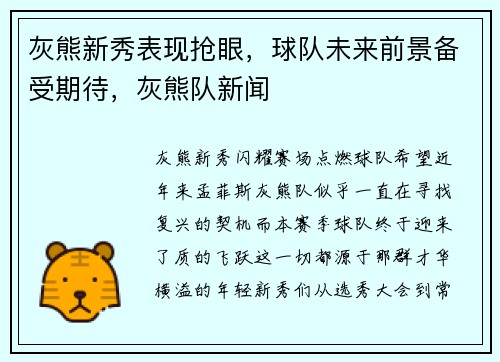 灰熊新秀表现抢眼，球队未来前景备受期待，灰熊队新闻