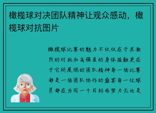 橄榄球对决团队精神让观众感动，橄榄球对抗图片
