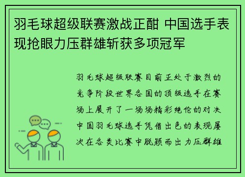 羽毛球超级联赛激战正酣 中国选手表现抢眼力压群雄斩获多项冠军